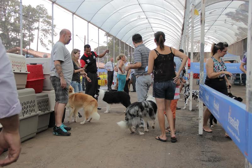 Sábado é dia de 7ºDog Show no Posto de Monta