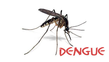 Piracaia intensifica combate a Dengue