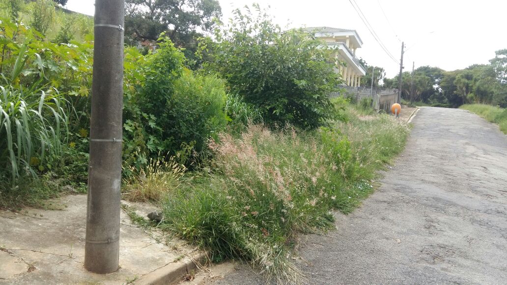 Moradores do Jardim Santa Rita de Cássia reclamam de buracos e matos