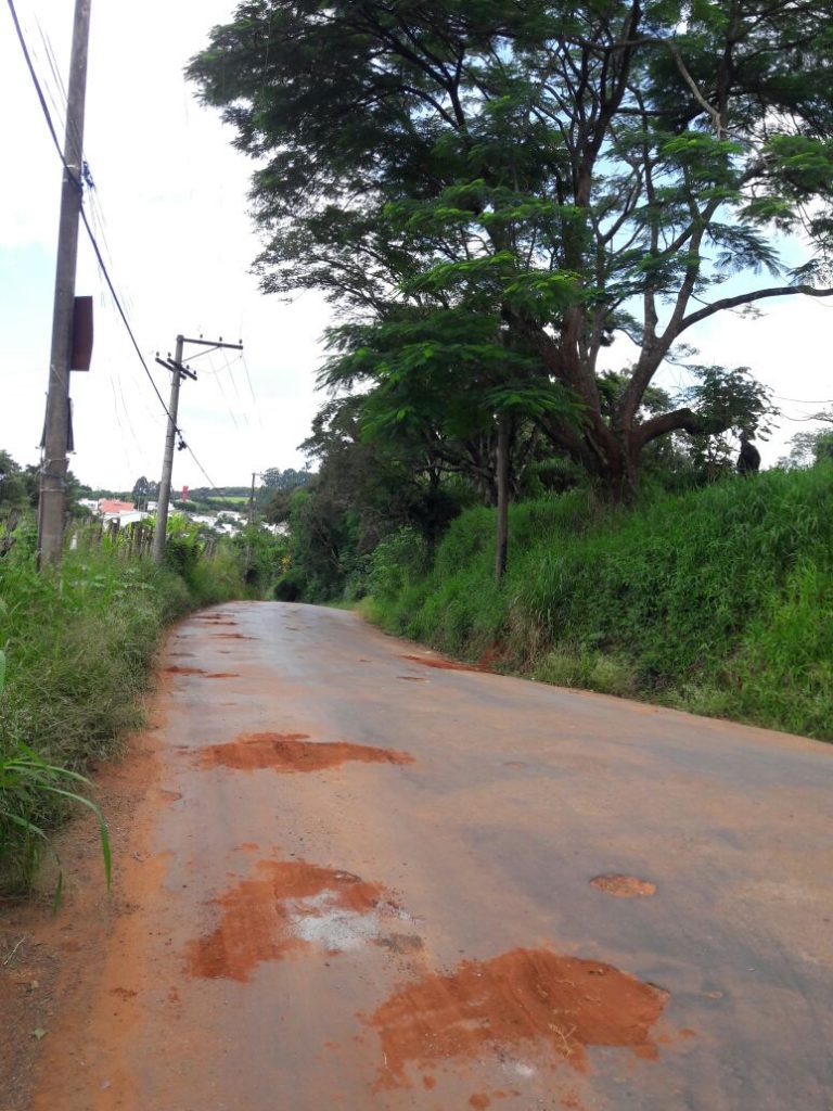 Moradores do Campo Novo pendem atenção para estradas