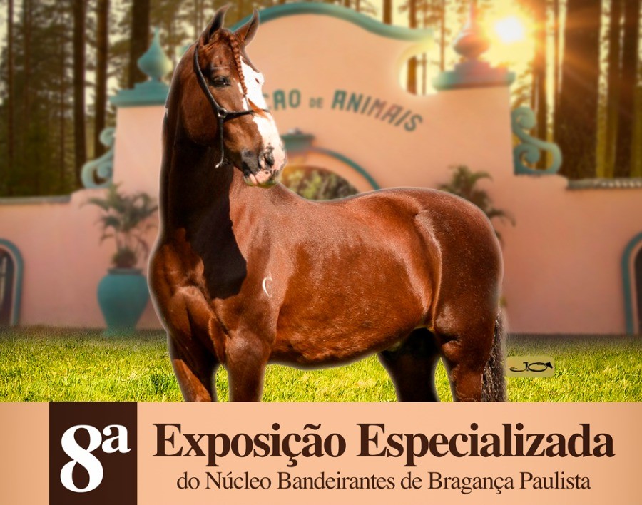 8ª Exposição do Cavalo Mangalarga ocorre de 8 a 12 em Bragança