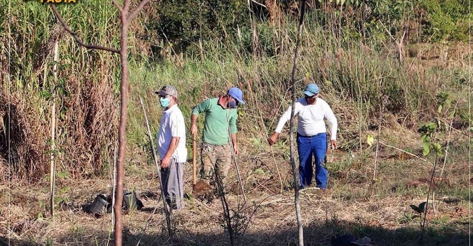 Bragança é certificada no Programa Município Verde Azul