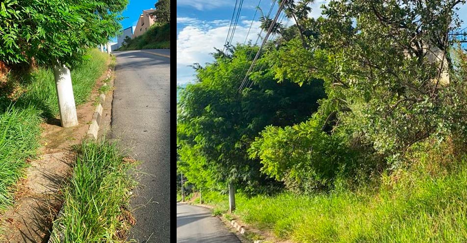 Pedestres reclamam de mato alto no Residencial das Ilhas