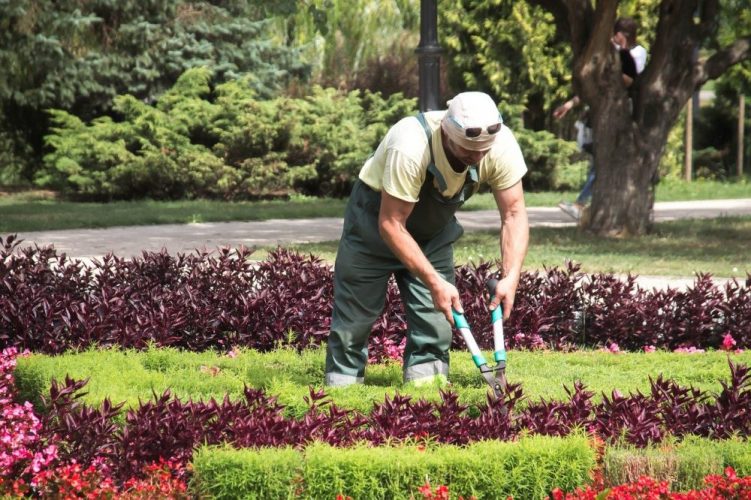 Cursos de jardineiro, aromaterapia e reiki estão com inscrições abertas