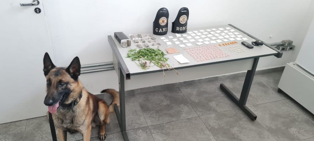 Guarda Municipal prende dois acusados de tráfico e apreende drogas