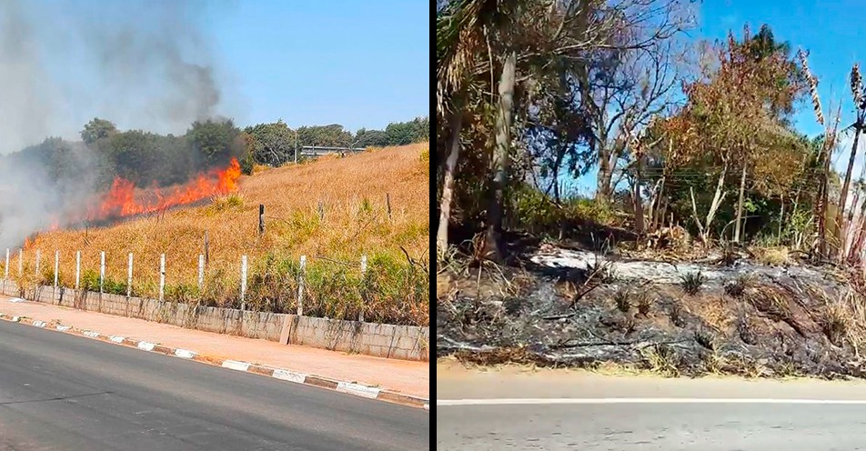 Incêndio em mata são registrados em mais duas regiões
