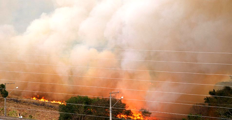Incêndio atinge mata no Bosque das Pedras