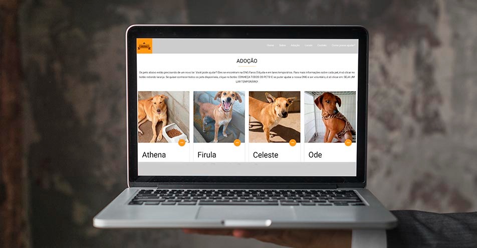 Alunos do IF-SP desenvolvem site para adoção de animais em Bragança