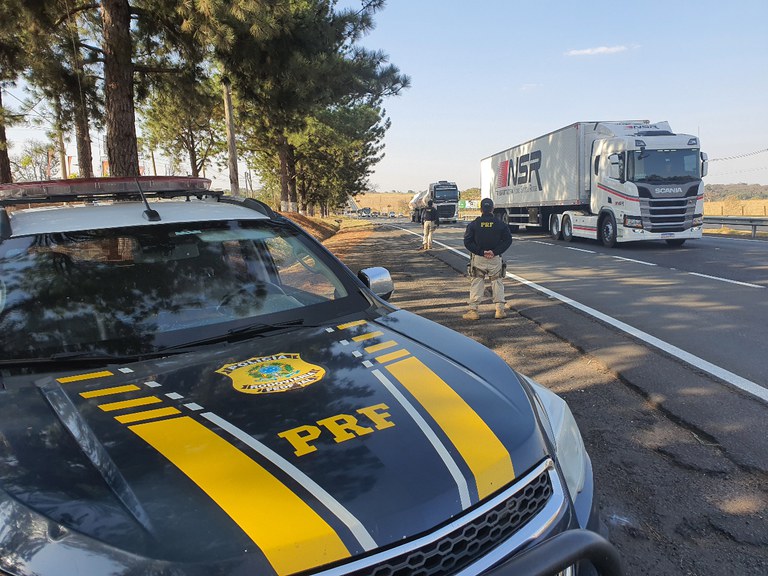 PRF apreende 3 tatus mortos sendo transportados na Fernão Dias