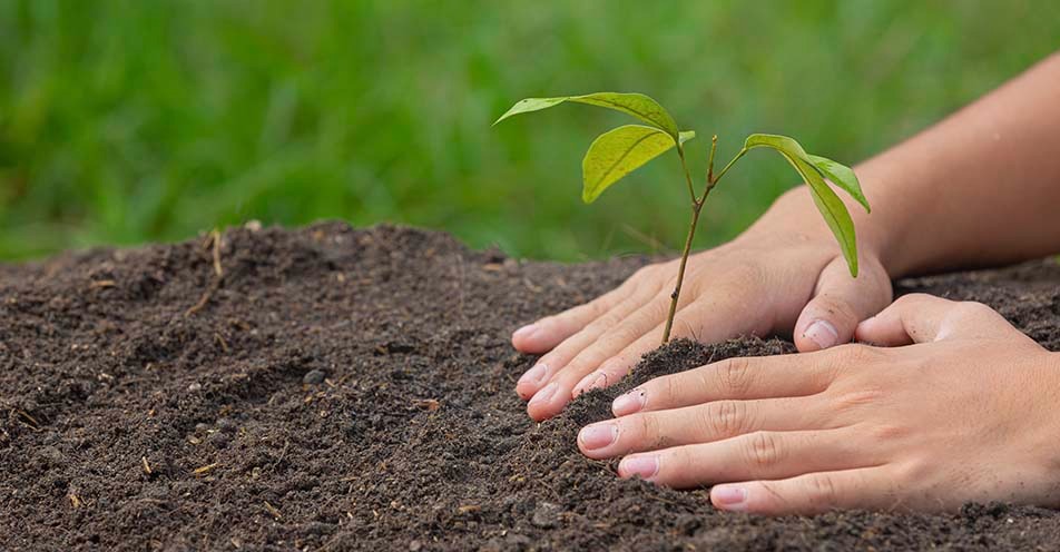 Secretário de Agronegócios é desligado do COMDEMA