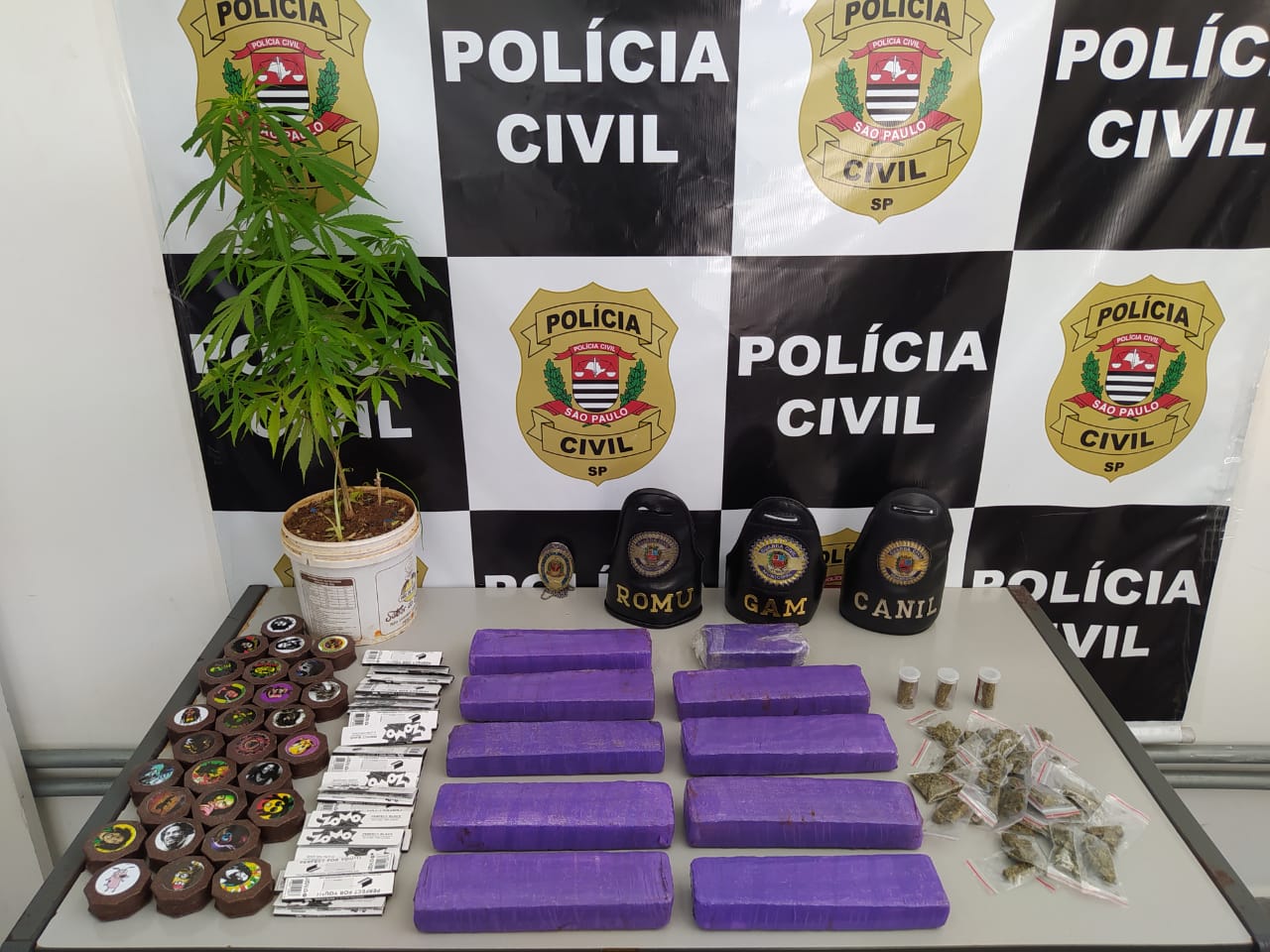 Forças de Segurança apreendem 10 tijolos de maconha em ação conjunta