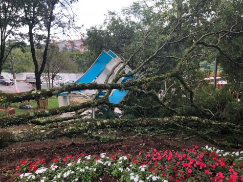 😷 Vigilância Sanitária suspende testagem de COVID em algumas farmácias de Bragança Paulista. Município não divulgou motivos. Leia mais ➡️: https://jornalempauta.com.br/vigilancia-sanitaria-suspende-testagem-de-covid-em-algumas-farmacias/
