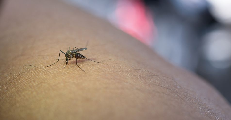 Bragança promove Semana de Mobilização contra a Dengue