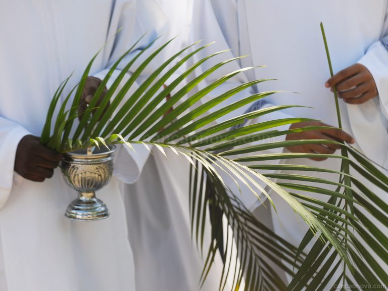 Igrejas de Bragança divulgam programação do Domingo de Ramos