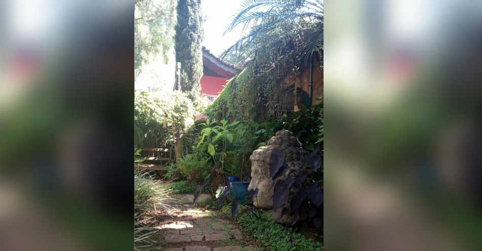 Raízes paisagem & jardim está contratando em Bragança Paulista