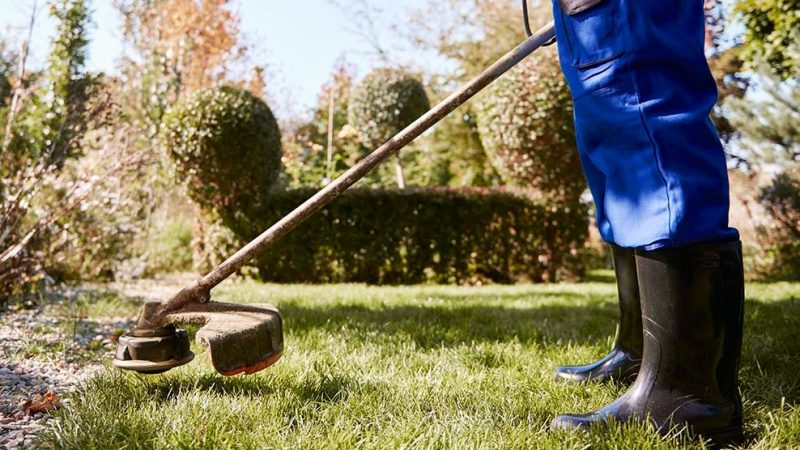 Forneria Razera contrata jardineiro freelancer