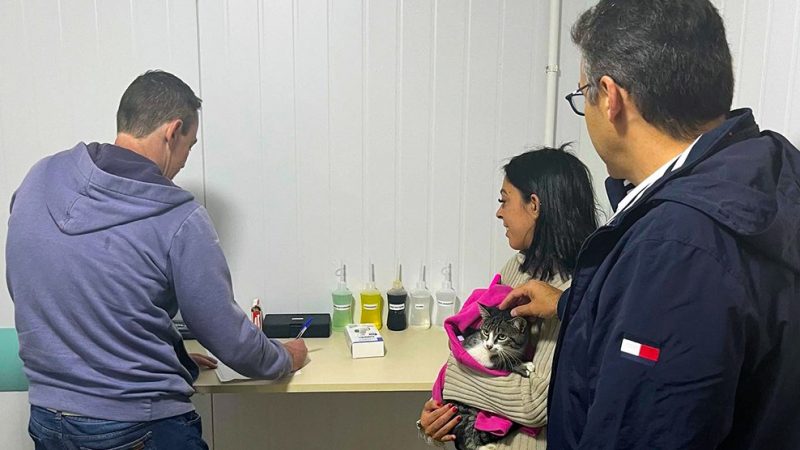 Piracaia inicia atendimentos no consultório veterinário gratuito