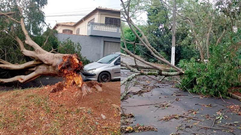 Fortes ventos causam estragos em Bragança Paulista