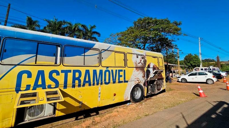 660 vagas de castração gratuita são abertas em Bragança
