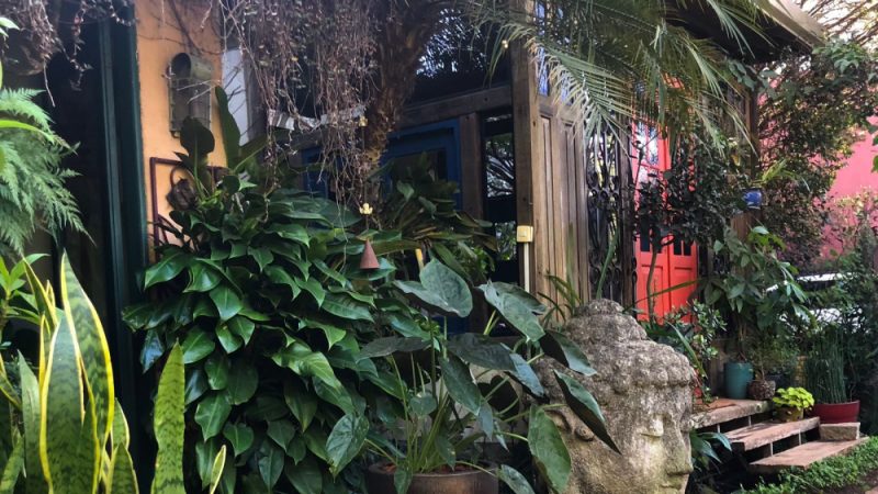 Raízes paisagem & jardim está contratando em Bragança Paulista
