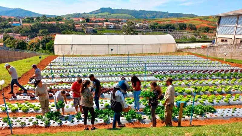 Abertas inscrições para projeto ‘Horta do Bem’ em Bragança