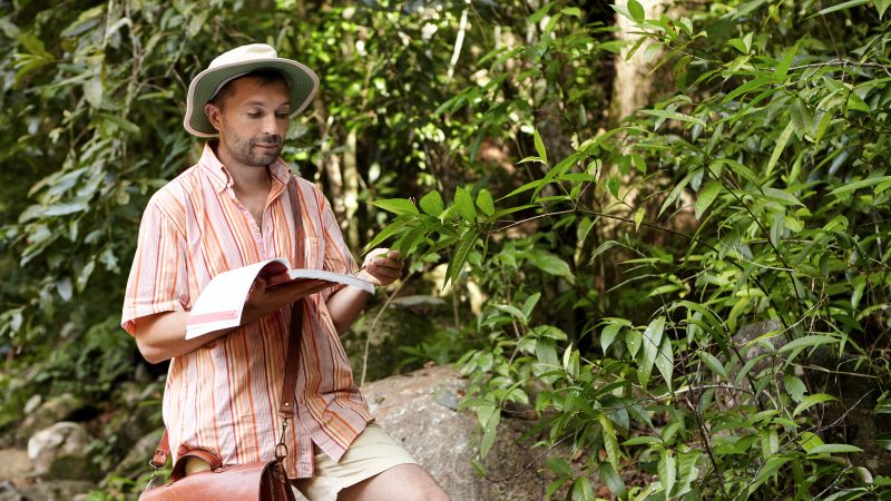 Curso de Protetores da Biodiversidade está com inscrições abertas