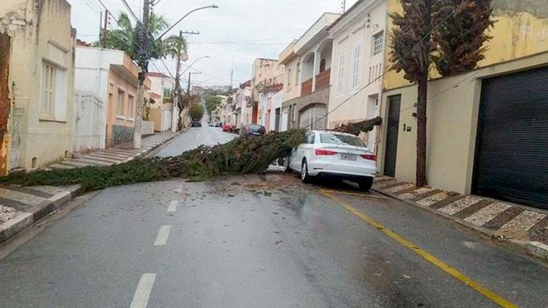 Árvore atinge carro estacionado em Bragança Paulista