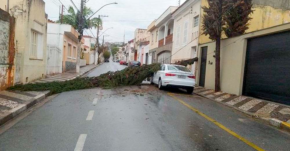 Árvore atinge carro estacionado em Bragança Paulista