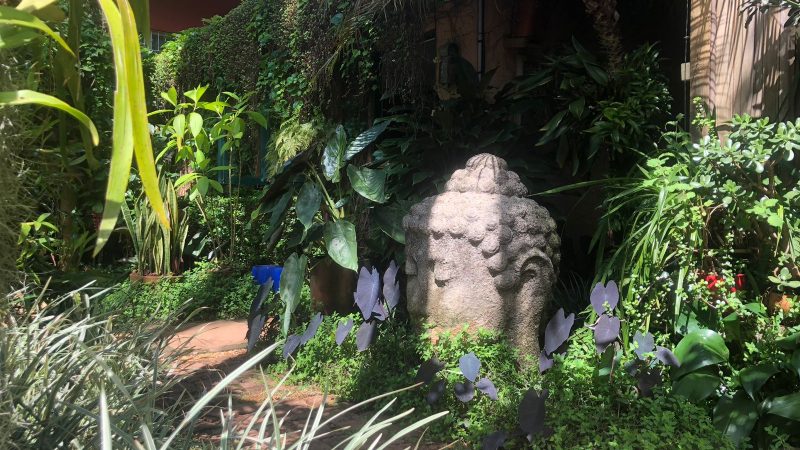 Raízes paisagem & jardim contrata para 3 áreas em Bragança