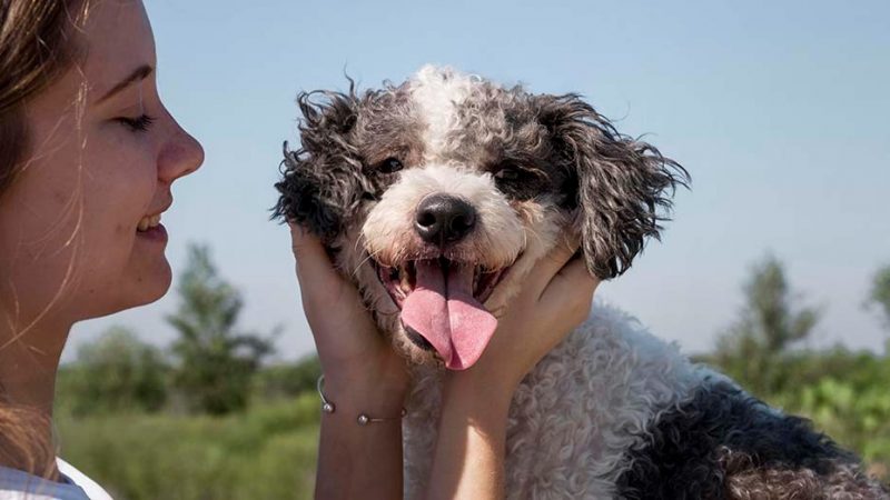 Evento ‘Amigo Pet’ acontece no Lago do Taboão