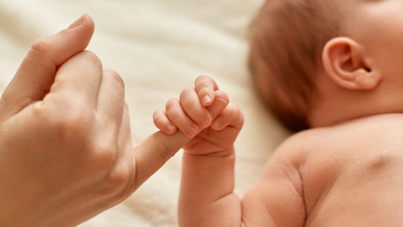 Helena e Arthur são novamente os nomes mais registrados em Bragança em 2023