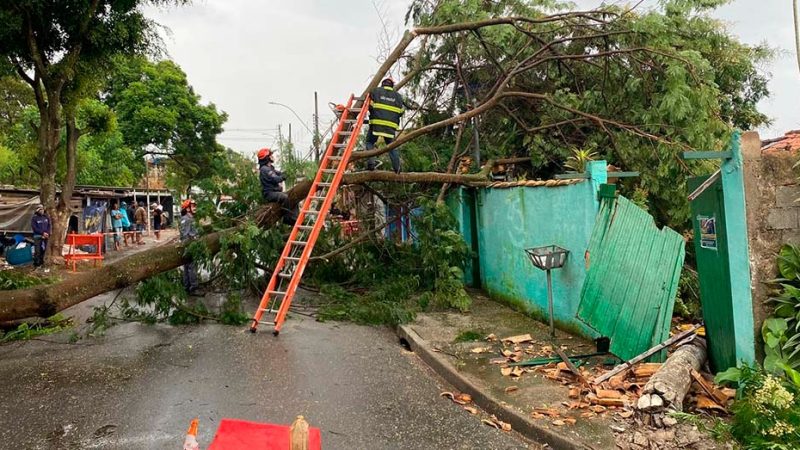 Árvore e poste caem em cima de residência em Bragança Paulista