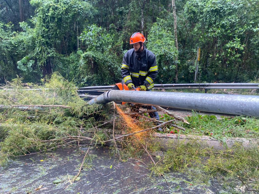 Queda de árvores causa interdição da Variante do Taboão em Bragança