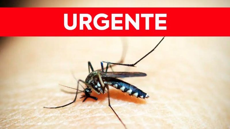 Bragança Paulista decreta situação de emergência para dengue