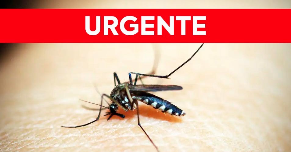 Bragança Paulista declares a state of emergency for dengue fever