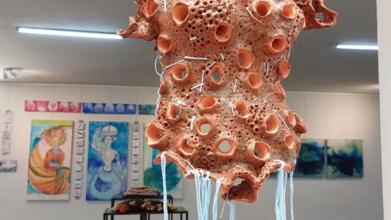 Exposição “Ocê Ano” está aberta para visitação em Bragança