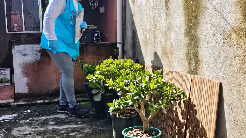 Bragança tem 19 internados com dengue e registra óbito suspeito