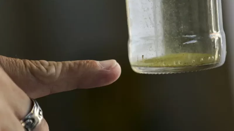 Bragança tem 10 internados por dengue e mais de 1300 casos