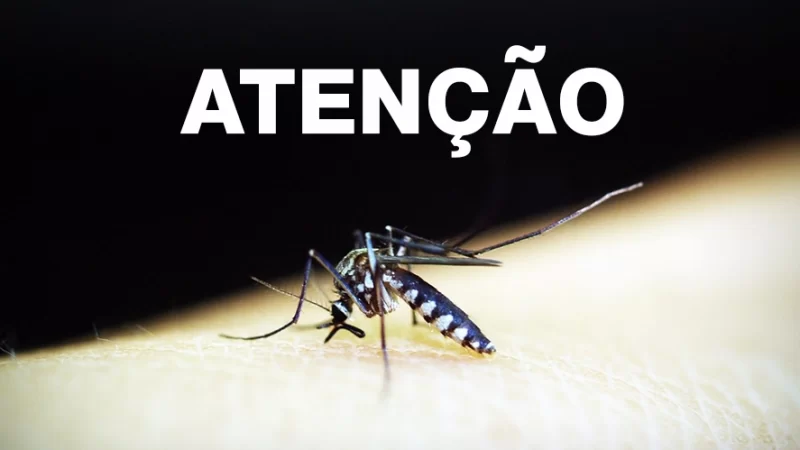 Saúde confirma 3°, 4° e 5° óbito por dengue em Bragança Paulista