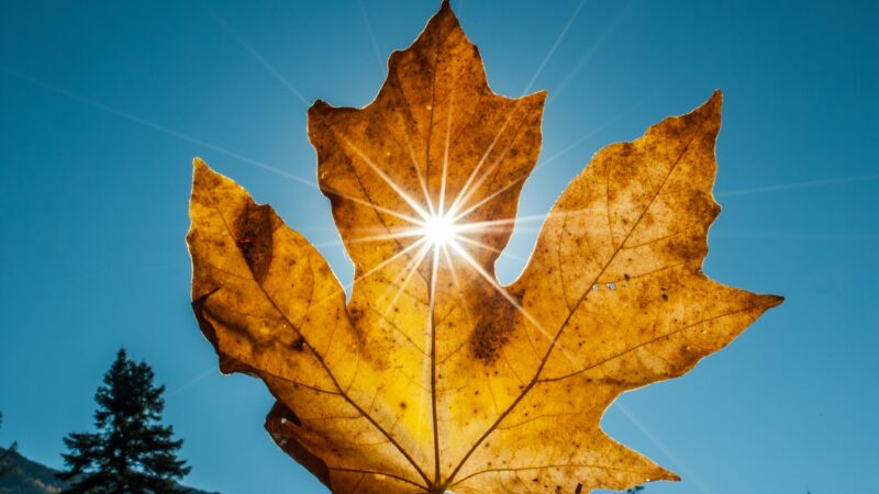 Final de semana terá máxima de 32ºC em Bragança Paulista