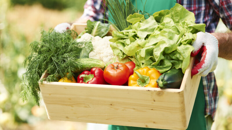 Abertas inscrições para curso de Certificação de Produtos Orgânicos