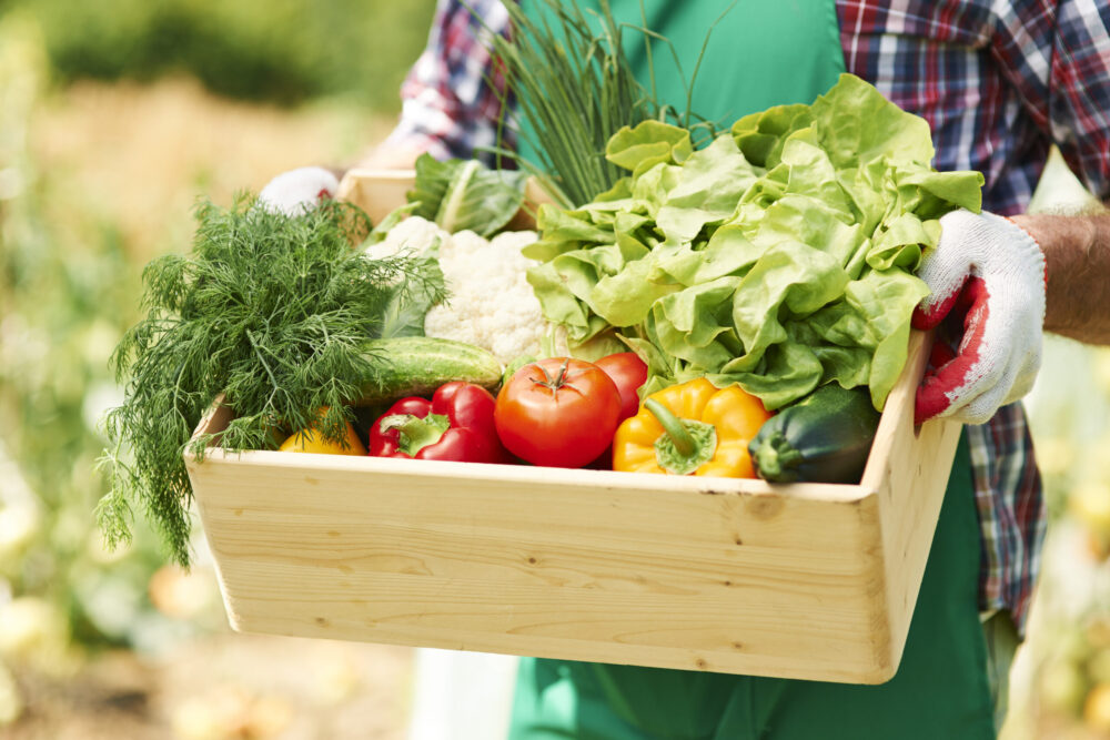 Abertas inscrições para curso de Certificação de Produtos Orgânicos