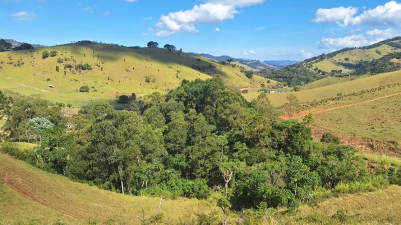 Projeto em Joanópolis recupera 64 hectares de mata nativa