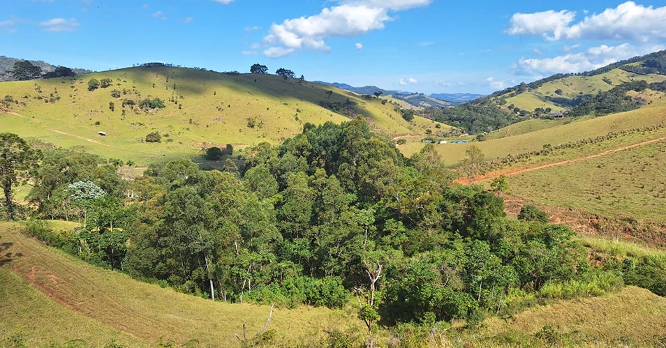 Projeto em Joanópolis recupera 64 hectares de mata nativa