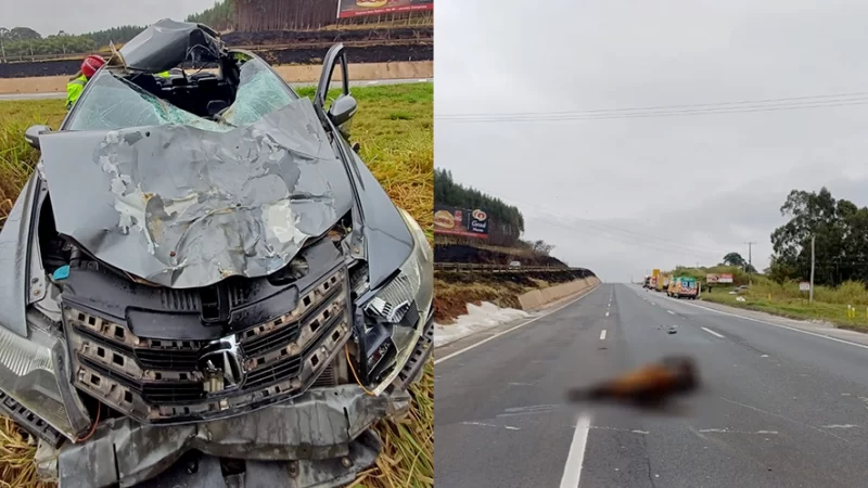 Motorista morre após colisão com cavalo na Fernão Dias