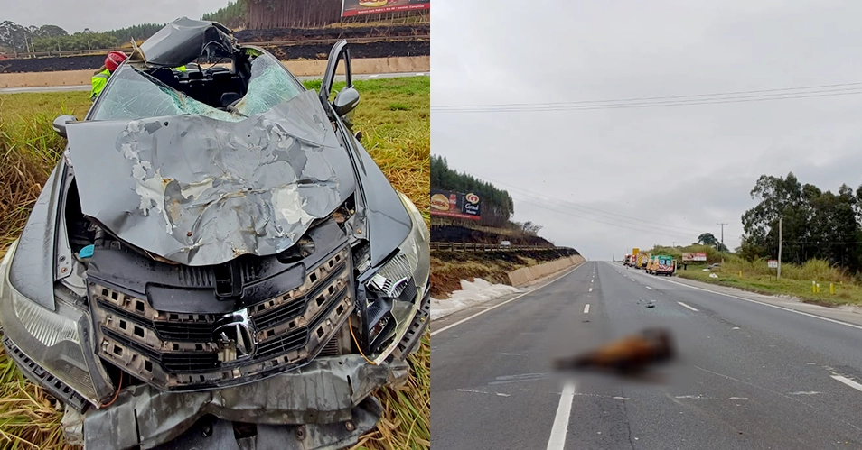 Motorista morre após colisão com cavalo na Fernão Dias