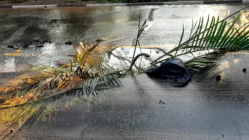 Sabesp se posiciona sobre buraco na Rua Alziro de Oliveira