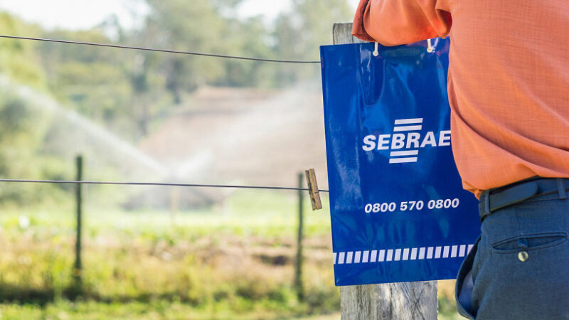 SEBRAE abre vagas para produtores rurais de Bragança e região