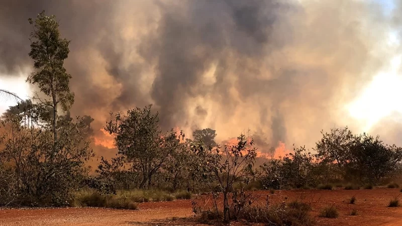 Alto risco de incêndios: Defesa Civil e Bombeiros estão em alerta