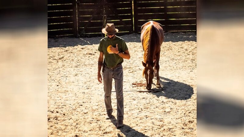 Curso de Horsemanship e Desenvolvimento Pessoal com Kether Arruda abre inscrições